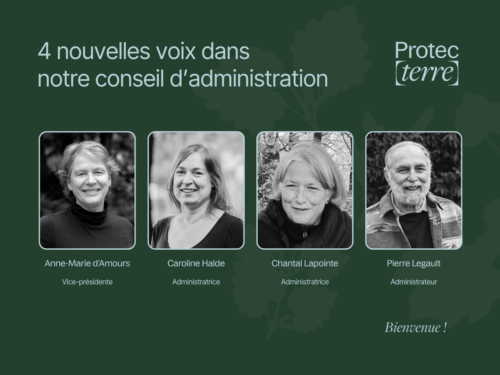 Visuel_Nouveau Conseil d'administration