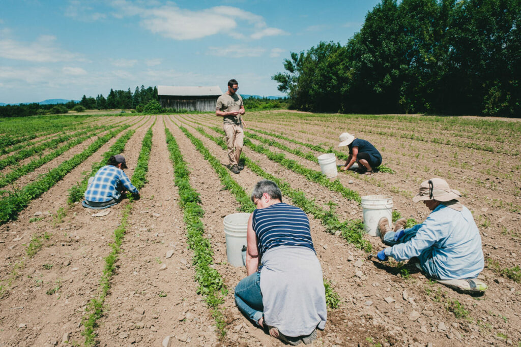 travailleurs-champs-agricoles-protec-terre