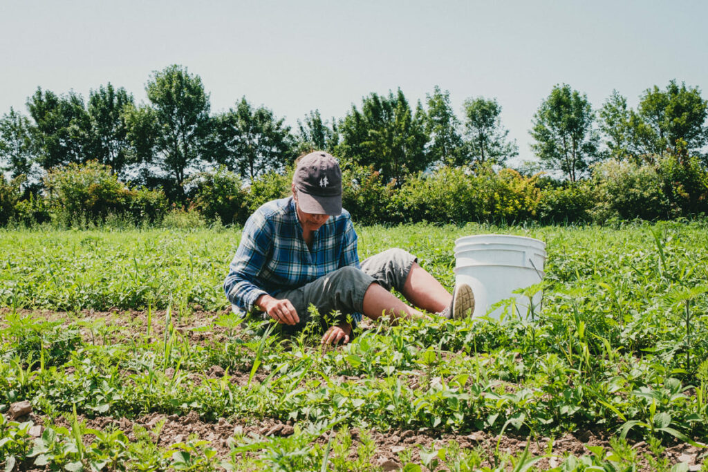 agroecologie-protec-terre-travail-manuel